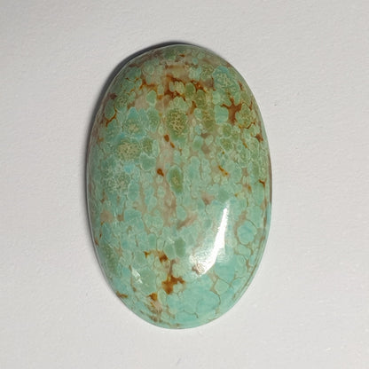 53585.0 -  A Very Large and Rare NATURAL Australian Turquoise, 25 x 16 x 5 mm Oval cabochon, Snowflake "TurqOZ", 14.68 carats, NO Treatment