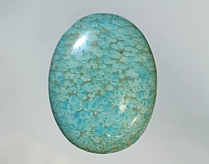 53584.0 -  A Very Large and Rare NATURAL Australian Turquoise, 27 x 21 x 5 mm Oval cabochon, Snowflake "TurqOZ", 21.66 carats, NO Treatment