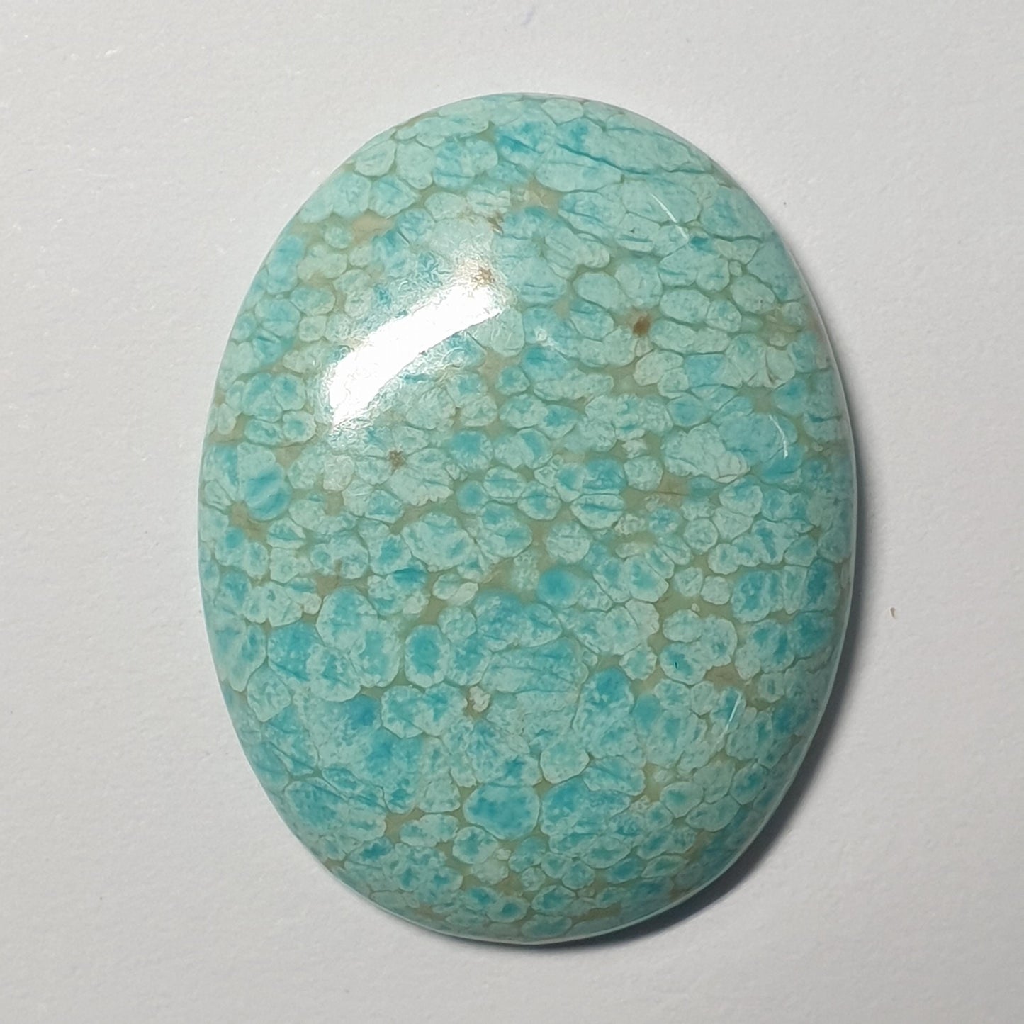 53584.0 -  A Very Large and Rare NATURAL Australian Turquoise, 27 x 21 x 5 mm Oval cabochon, Snowflake "TurqOZ", 21.66 carats, NO Treatment