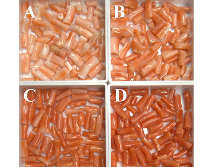 54003.0 - Natural Coral Tubes from Taiwan All drilled in Mixed sizes in Red and Very Deep Pink and Pink and Light Pink colour
