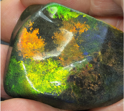 53912.0 - Andamooka Treated Opal Matrix Specimen Huge colour patterns 186.97 carats 50 x 40 x 18 mm Common in the 1960's but a rarity today