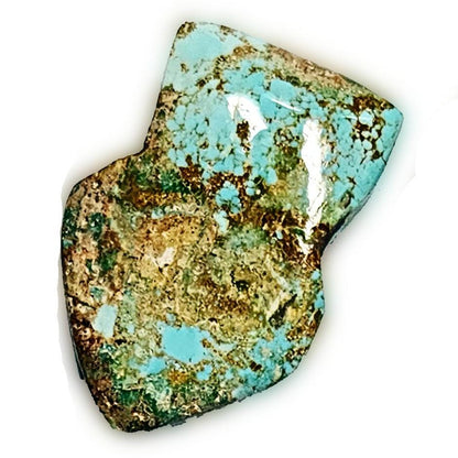 53930.0 - Wholesale Lot of Natural Free Shaped Australian Turquoise (TurqOZ) 8 pieces very rare Non-treated Turquoise from Central Australia