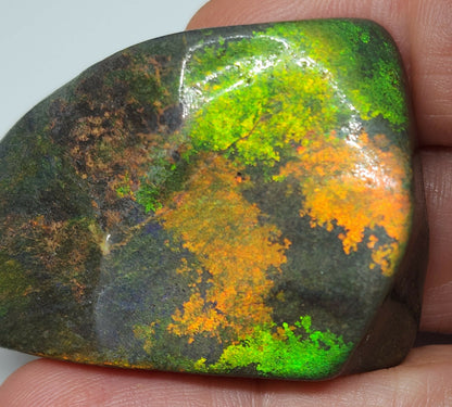 53912.0 - Andamooka Treated Opal Matrix Specimen Huge colour patterns 186.97 carats 50 x 40 x 18 mm Common in the 1960's but a rarity today