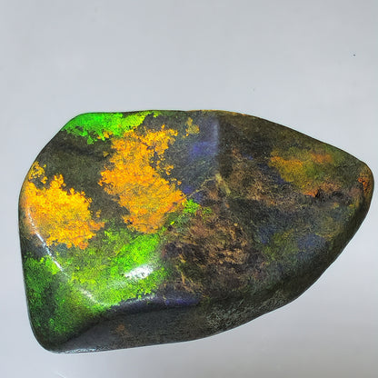 53912.0 - Andamooka Treated Opal Matrix Specimen Huge colour patterns 186.97 carats 50 x 40 x 18 mm Common in the 1960's but a rarity today