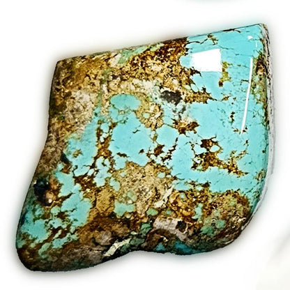 53930.0 - Wholesale Lot of Natural Free Shaped Australian Turquoise (TurqOZ) 8 pieces very rare Non-treated Turquoise from Central Australia