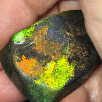 53912.0 - Andamooka Treated Opal Matrix Specimen Huge colour patterns 186.97 carats 50 x 40 x 18 mm Common in the 1960's but a rarity today