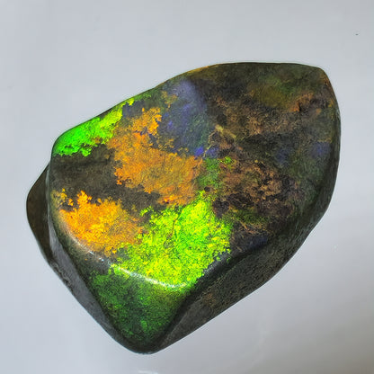 53912.0 - Andamooka Treated Opal Matrix Specimen Huge colour patterns 186.97 carats 50 x 40 x 18 mm Common in the 1960's but a rarity today