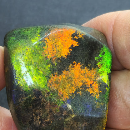 53912.0 - Andamooka Treated Opal Matrix Specimen Huge colour patterns 186.97 carats 50 x 40 x 18 mm Common in the 1960's but a rarity today