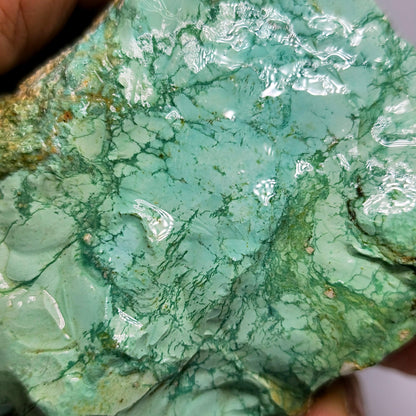54126.0 - One piece of rough Natural Australian Turquoise Not Treated and Very Rare 1,130 carats 80 x 45 x 50 mm Good shape and high yield