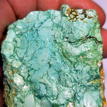 54126.0 - One piece of rough Natural Australian Turquoise Not Treated and Very Rare 1,130 carats 80 x 45 x 50 mm Good shape and high yield