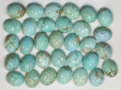 54166.0 - 11x9 mm Oval Cabochon Cut Natural Earth Mined Non-treated Australian Turquoise, this "TurqOZ" is rare and was mined in the 1970's