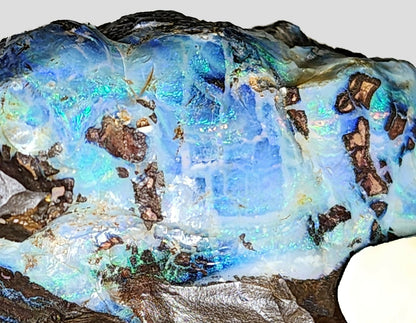 54138.0 - Boulder Opal Specimen Partly polished Includes Sterling Silver plate for engraving Great gift, Trophy, Paper weight, Office desk