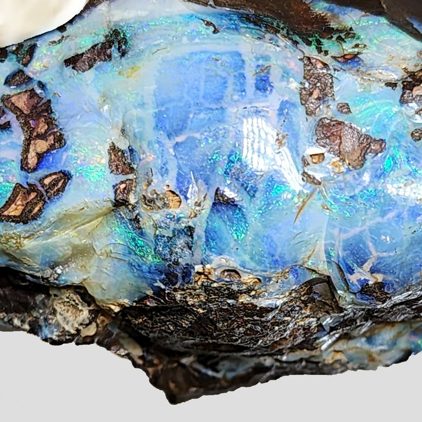 54138.0 - Boulder Opal Specimen Partly polished Includes Sterling Silver plate for engraving Great gift, Trophy, Paper weight, Office desk