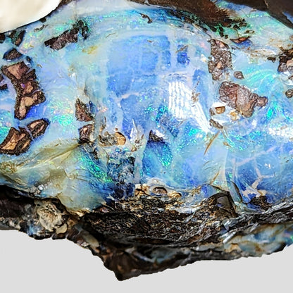 54138.0 - Boulder Opal Specimen Partly polished Includes Sterling Silver plate for engraving Great gift, Trophy, Paper weight, Office desk
