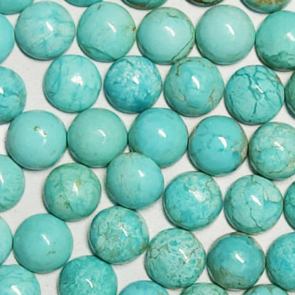 50006.0 - 6 mm Round Cut Natural Non-Treated Australian Turquoise Cabochons for sale Very Rare and in Wholesale Quantities