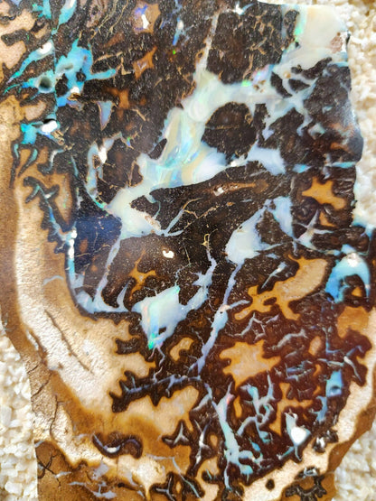 01000.0 - One Australian Boulder Opal wall dining or coffee table panel with rough opal and Two panels with sliced opal 1800 x 900 x 30+ mm About 110-130 Kg