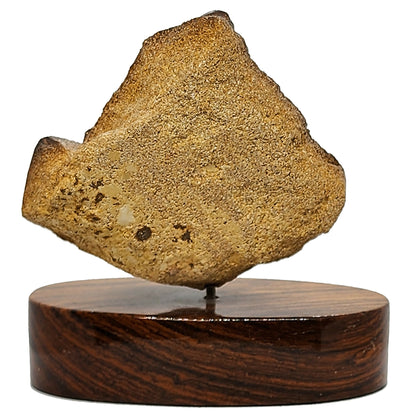 03905.2 - Boulder Opal Carving Frilled Neck Lizard On Block Of Wood 194 Grams 90 mm Wide x 95 mm High x 60 mm Deep Carved in the 1970's