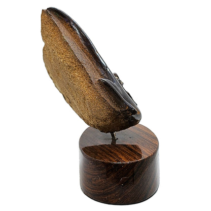 03905.2 - Boulder Opal Carving Frilled Neck Lizard On Block Of Wood 194 Grams 90 mm Wide x 95 mm High x 60 mm Deep Carved in the 1970's