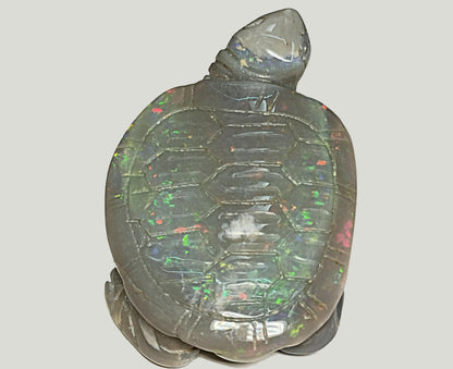 04083.0 - Australian solid grey Opal turtle carving Potential to recut for more colour 229.79 carats colourful ornament 60 x 45 mm