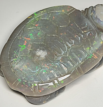 04083.0 - Australian solid grey Opal turtle carving Potential to recut for more colour 229.79 carats colourful ornament 60 x 45 mm