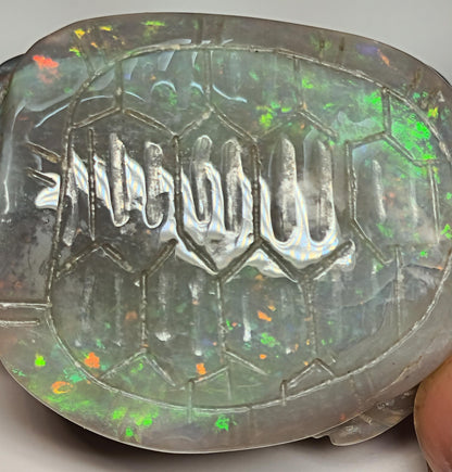 04083.0 - Australian solid grey Opal turtle carving Potential to recut for more colour 229.79 carats colourful ornament 60 x 45 mm
