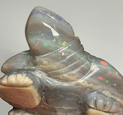 04083.0 - Australian solid grey Opal turtle carving Potential to recut for more colour 229.79 carats colourful ornament 60 x 45 mm