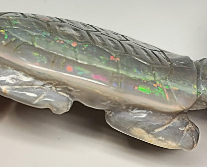 04083.0 - Australian solid grey Opal turtle carving Potential to recut for more colour 229.79 carats colourful ornament 60 x 45 mm