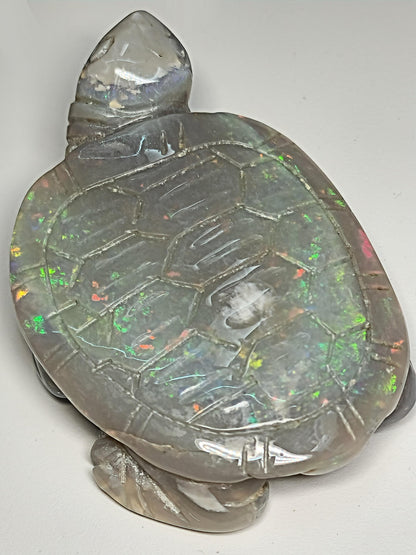 04083.0 - Australian solid grey Opal turtle carving Potential to recut for more colour 229.79 carats colourful ornament 60 x 45 mm