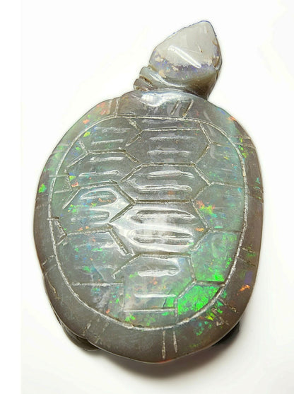 04083.0 - Australian solid grey Opal turtle carving Potential to recut for more colour 229.79 carats colourful ornament 60 x 45 mm