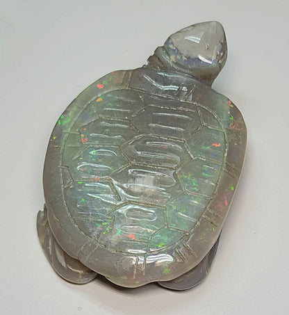 04083.0 - Australian solid grey Opal turtle carving Potential to recut for more colour 229.79 carats colourful ornament 60 x 45 mm