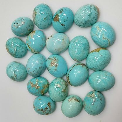 50011.9 - 11x9 mm Oval Cabochon Cut Natural Earth Mined Non-treated Australian "TurqOZ" for sale in Wholesale Quantities