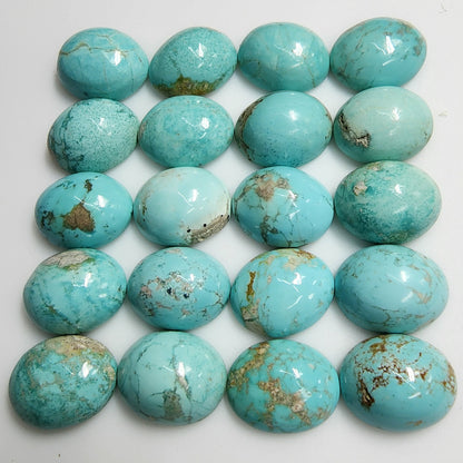 50011.9 - 11x9 mm Oval Cabochon Cut Natural Earth Mined Non-treated Australian "TurqOZ" for sale in Wholesale Quantities