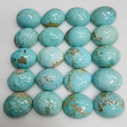 50011.9 - 11x9 mm Oval Cabochon Cut Natural Earth Mined Non-treated Australian "TurqOZ" for sale in Wholesale Quantities