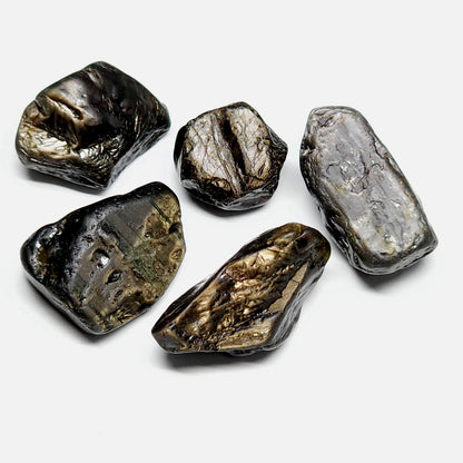 53653.0 - One lot of 5 Large Pieces of Australian Rough Uncut Black Star Sapphires Average Weight is 19 Carats Total Weight is 94.5 Carats