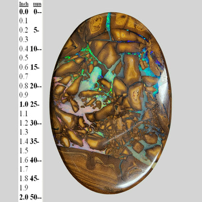 53682.0 - Australian Queensland Boulder Opal 77.10 cts 49mm Long x 33mm Wide x 5.4mm Deep Double Sided Perfect Bola Slide Size Unique Gem