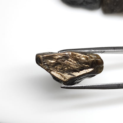 53653.0 - One lot of 5 Large Pieces of Australian Rough Uncut Black Star Sapphires Average Weight is 19 Carats Total Weight is 94.5 Carats