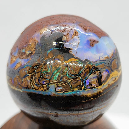 53980.0 - Australian Boulder Opal Ball Mounted on a Sculptured Piece of Wood with a Sterling Silver Plate attached Suitable for Engraving