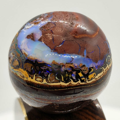 53980.0 - Australian Boulder Opal Ball Mounted on a Sculptured Piece of Wood with a Sterling Silver Plate attached Suitable for Engraving
