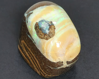 54079.0 - Highly Polished Australian Queensland Boulder Opal Specimen or Ornamental piece with colour bandings 30x20xH:30mm 32gr 162 carats