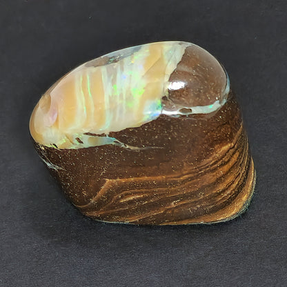 54079.0 - Highly Polished Australian Queensland Boulder Opal Specimen or Ornamental piece with colour bandings 30x20xH:30mm 32gr 162 carats