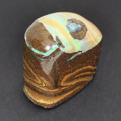 54079.0 - Highly Polished Australian Queensland Boulder Opal Specimen or Ornamental piece with colour bandings 30x20xH:30mm 32gr 162 carats