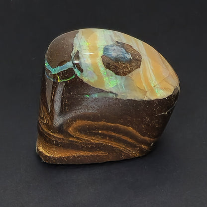 54079.0 - Highly Polished Australian Queensland Boulder Opal Specimen or Ornamental piece with colour bandings 30x20xH:30mm 32gr 162 carats