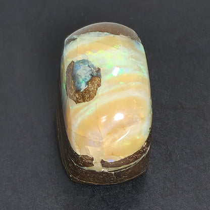 54079.0 - Highly Polished Australian Queensland Boulder Opal Specimen or Ornamental piece with colour bandings 30x20xH:30mm 32gr 162 carats
