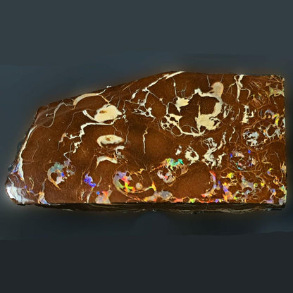 54085.0 - Highly Polished Australian Queensland Boulder Opal Specimen, Ornament or recut into tiger claw or parallelogram shape 93.76 carats