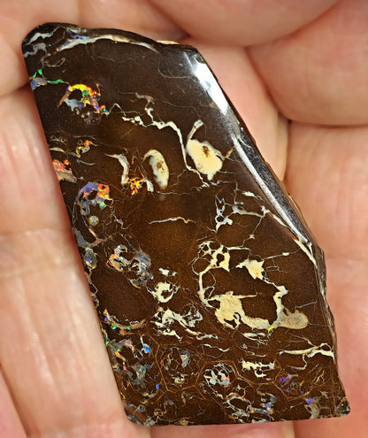 54085.0 - Highly Polished Australian Queensland Boulder Opal Specimen, Ornament or recut into tiger claw or parallelogram shape 93.76 carats