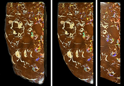 54085.0 - Highly Polished Australian Queensland Boulder Opal Specimen, Ornament or recut into tiger claw or parallelogram shape 93.76 carats