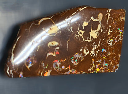 54085.0 - Highly Polished Australian Queensland Boulder Opal Specimen, Ornament or recut into tiger claw or parallelogram shape 93.76 carats