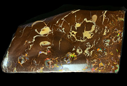 54085.0 - Highly Polished Australian Queensland Boulder Opal Specimen, Ornament or recut into tiger claw or parallelogram shape 93.76 carats