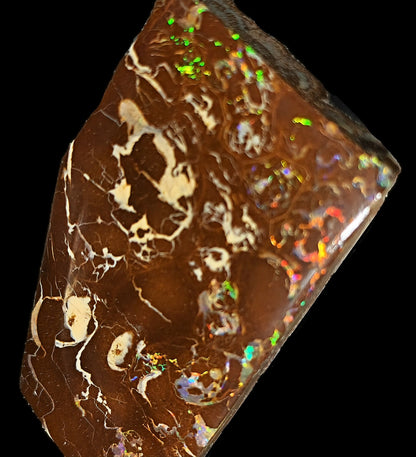 54085.0 - Highly Polished Australian Queensland Boulder Opal Specimen, Ornament or recut into tiger claw or parallelogram shape 93.76 carats