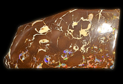 54085.0 - Highly Polished Australian Queensland Boulder Opal Specimen, Ornament or recut into tiger claw or parallelogram shape 93.76 carats